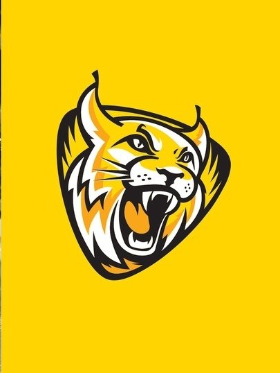 Плакат северсталь хоккей (47 фото)