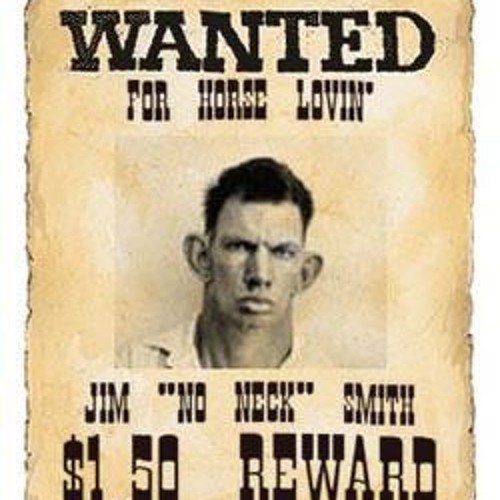 Разыскивается ковбой