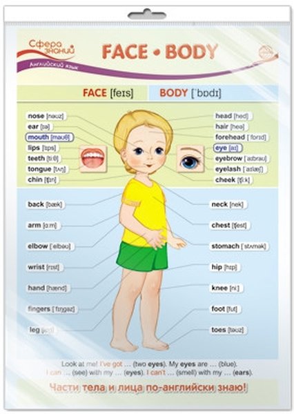 Английский для визуалов