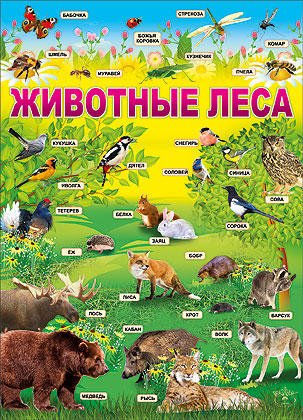 Плакат обитатели леса
