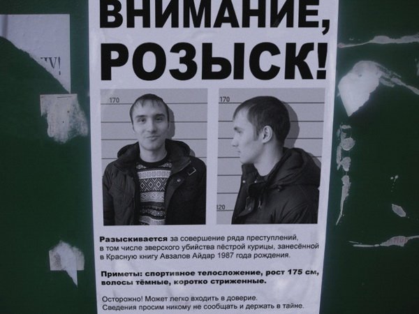 Рамка разыскивается