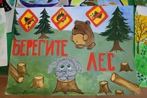 Против вырубки елок