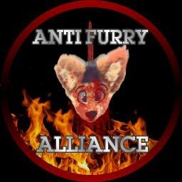 Бэбэй анти фурри