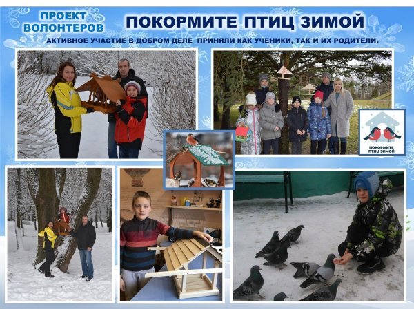 Плакат Покормите птиц зимой