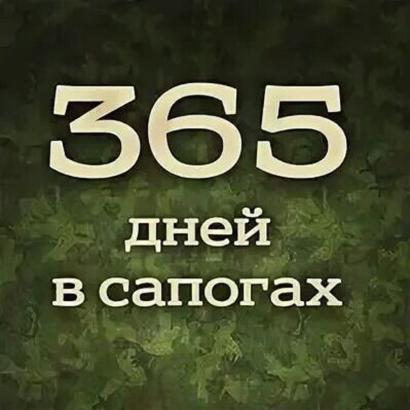 Дмб плакат 365 (48 фото)