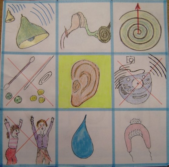 Знаки органов чувств