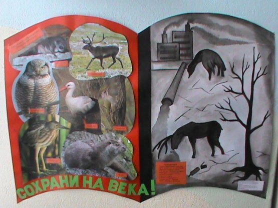 Плакат берегите животных