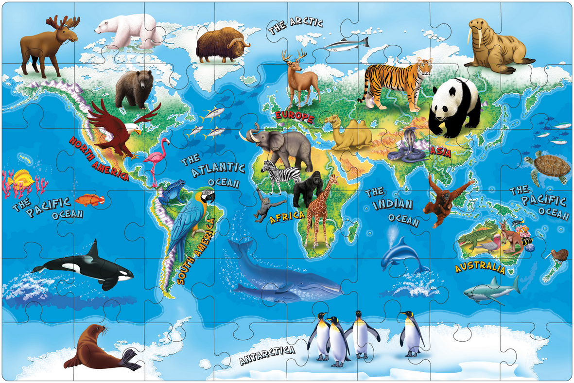 Где находятся плакаты. Животные на материках. Животные разных континентов. Животные разных континентов для дошкольников. Животные на карте.