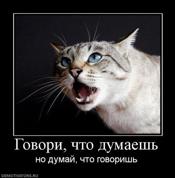 Табличка "соблюдайте тишину"