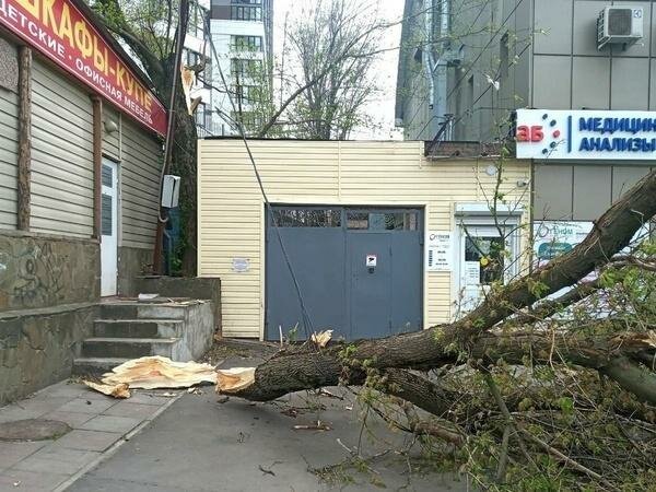 Явления природы ветер