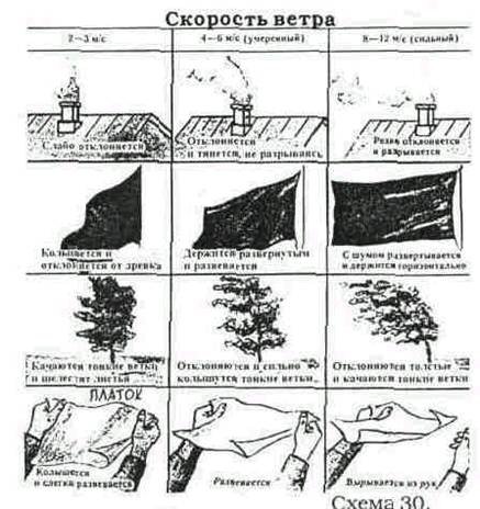 Сильный ветер плакат (43 фото)