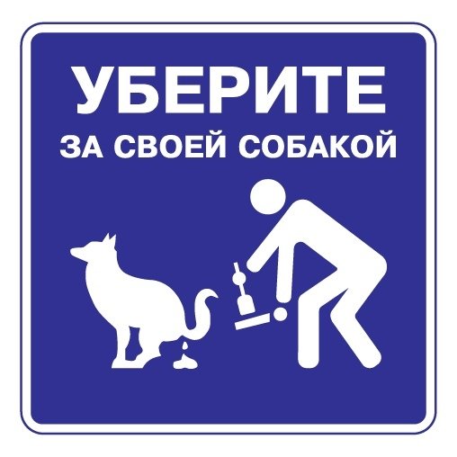 Убирайте за своими собаками