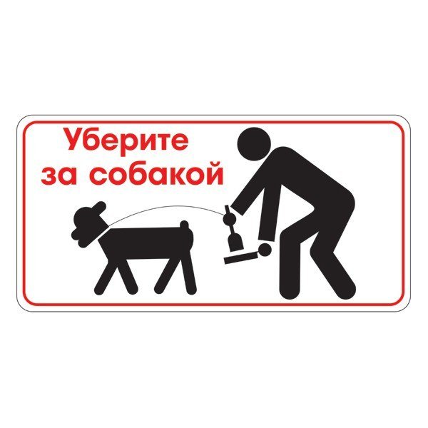 Уборка собачьего говна инфографика