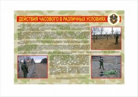 Несение караульной службы