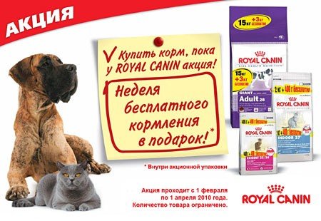 Кондиция собаки Роял Канин