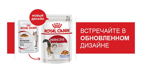 Плакаты роял канин ветеринарные (43 фото)