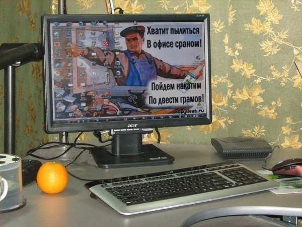 Хватит пылиться в офисе сраном