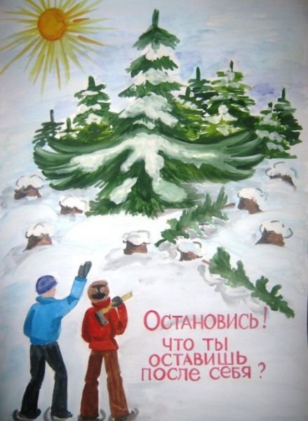 Листовка в защиту ели