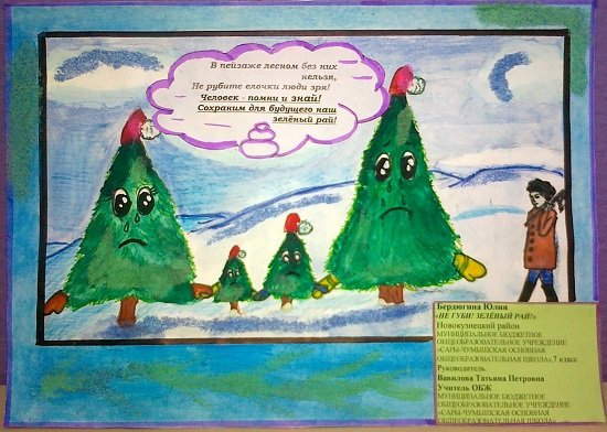Плакат в защиту хвойных деревьев (49 фото)