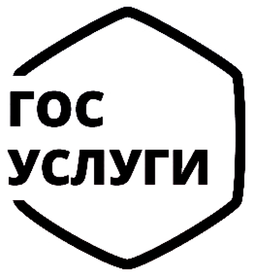 Госуслуги без очереди