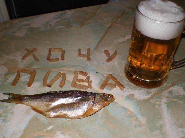 Приколы про разливное пиво