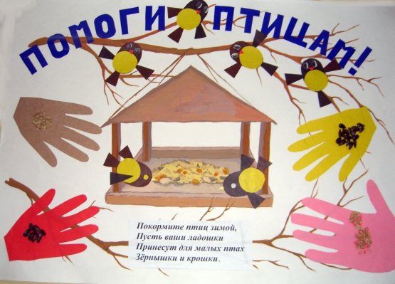 Помоги зимующим птицам