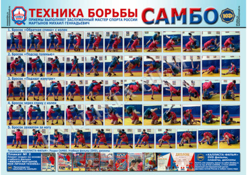 Плакат боевое самбо