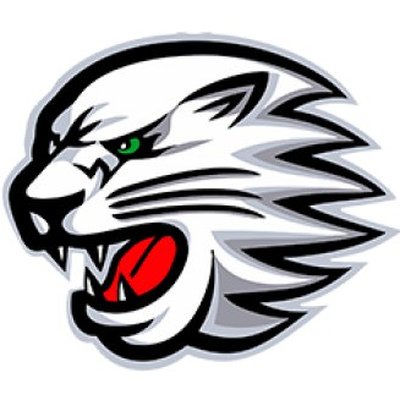 Снежные Барсы хк эмблема