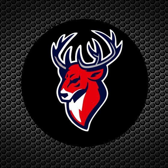 Хк Торпедо Нижний Новгород лого