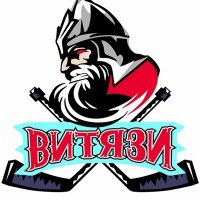 Логотип команды Витязь