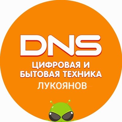 ДНС Ритейл логотип