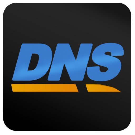 DNS компания логотип