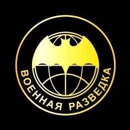 День летучей мыши разведка