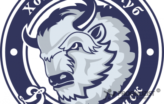 ФК Динамо Минск Старая эмблема