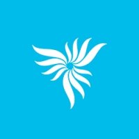 NORDSTAR авиакомпания логотип