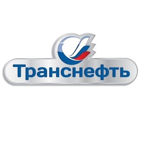 Транснефть Сибирь лого