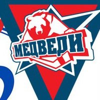 Медведи Молодежка логотип