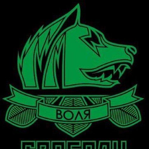 Группировка Свобода сталкер эмблема