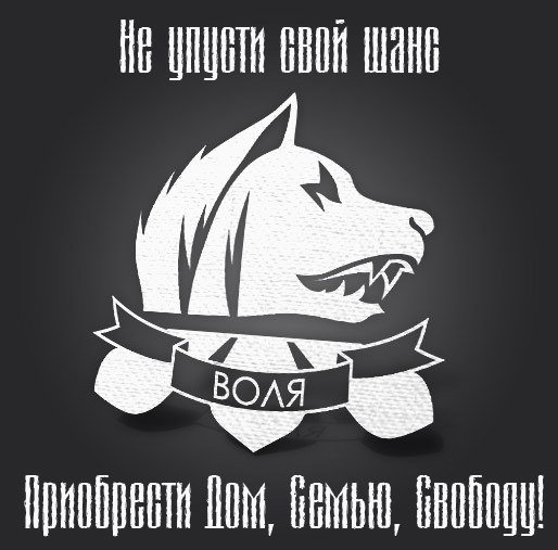 Свобода логотип