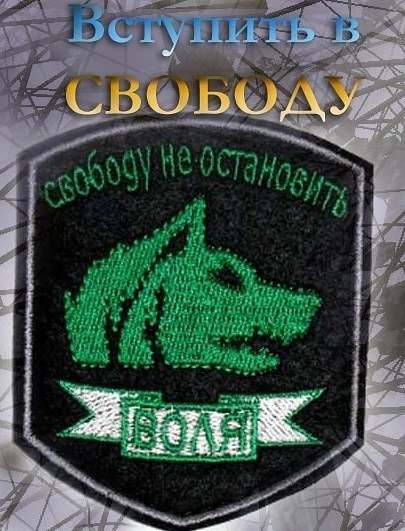 Свобода сталкер эмблема