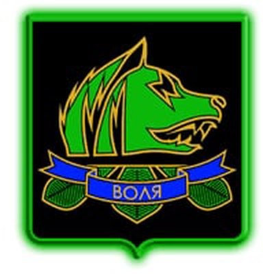 Группировка Свобода сталкер эмблема