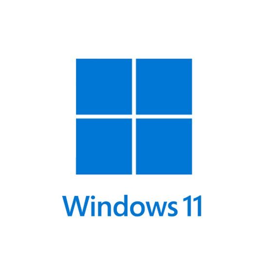 Windows 11 logo