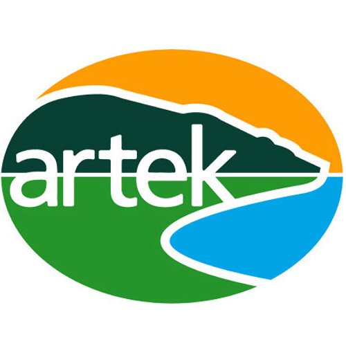 Артек эмблема