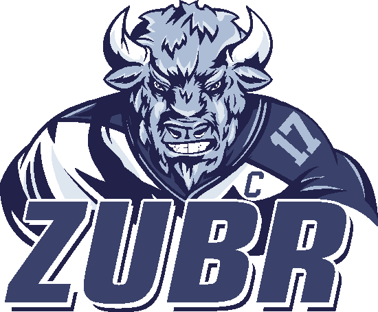 Баннер хоккейный клуб