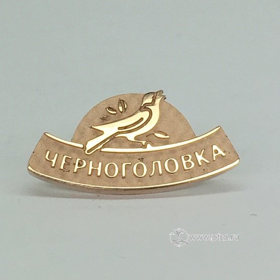 Черноголовка напитки логотип