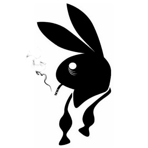 Плейбой черно белые