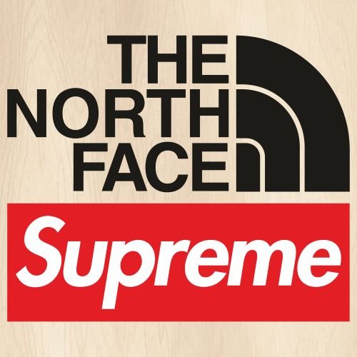 Футболка the North face белый