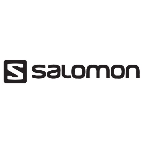 Salomon logo