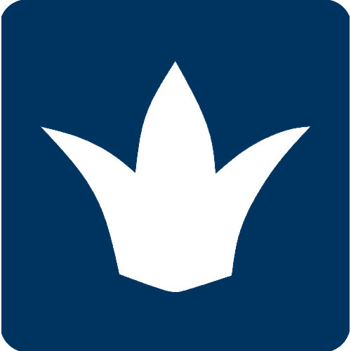 Снежная Королева логотип