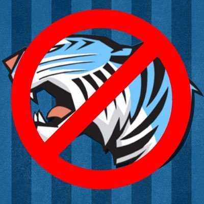 Mr Beast Ukraine Flag